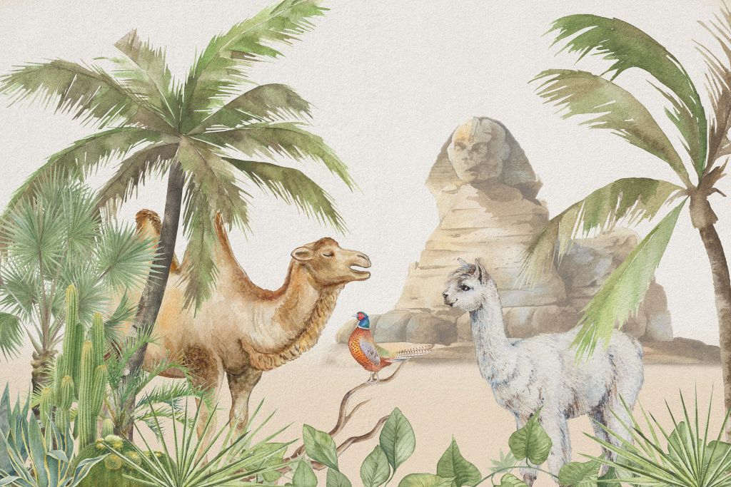 Kamel und Alpaka in der Wüste