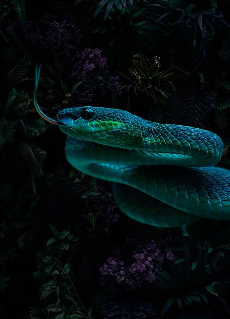 Jungle Snake Porträt