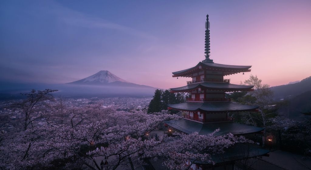 Mt Fuji Sakura