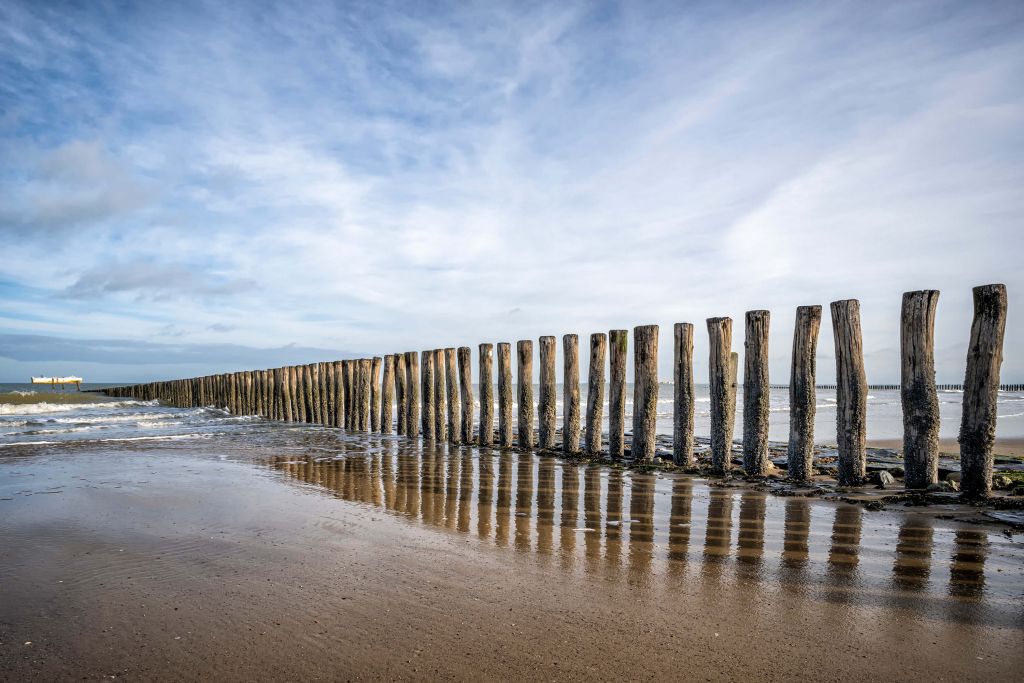 Hölzerner Wellenbrecher an der Küste bei Cadzand-Bad - NL