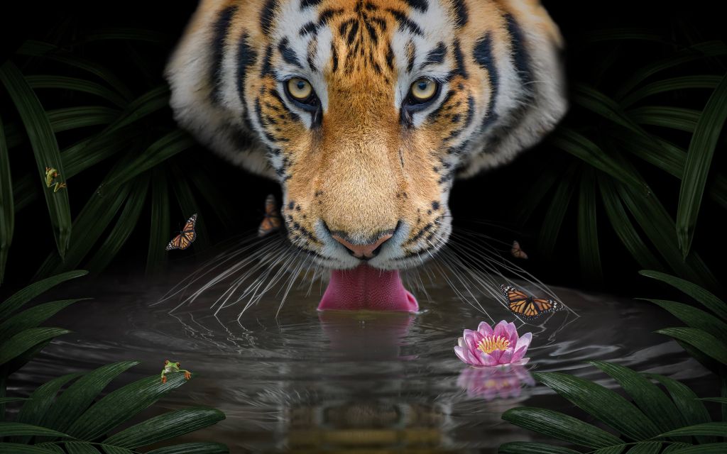 Dschungel Tiger