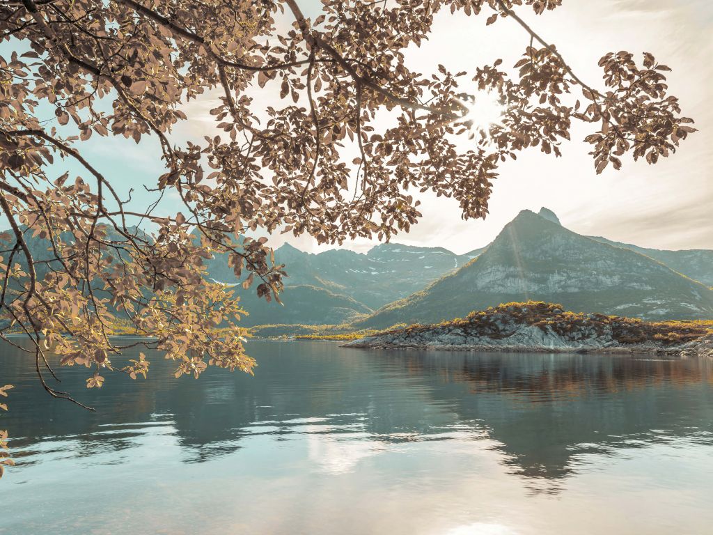 Ein norwegischer Fjord