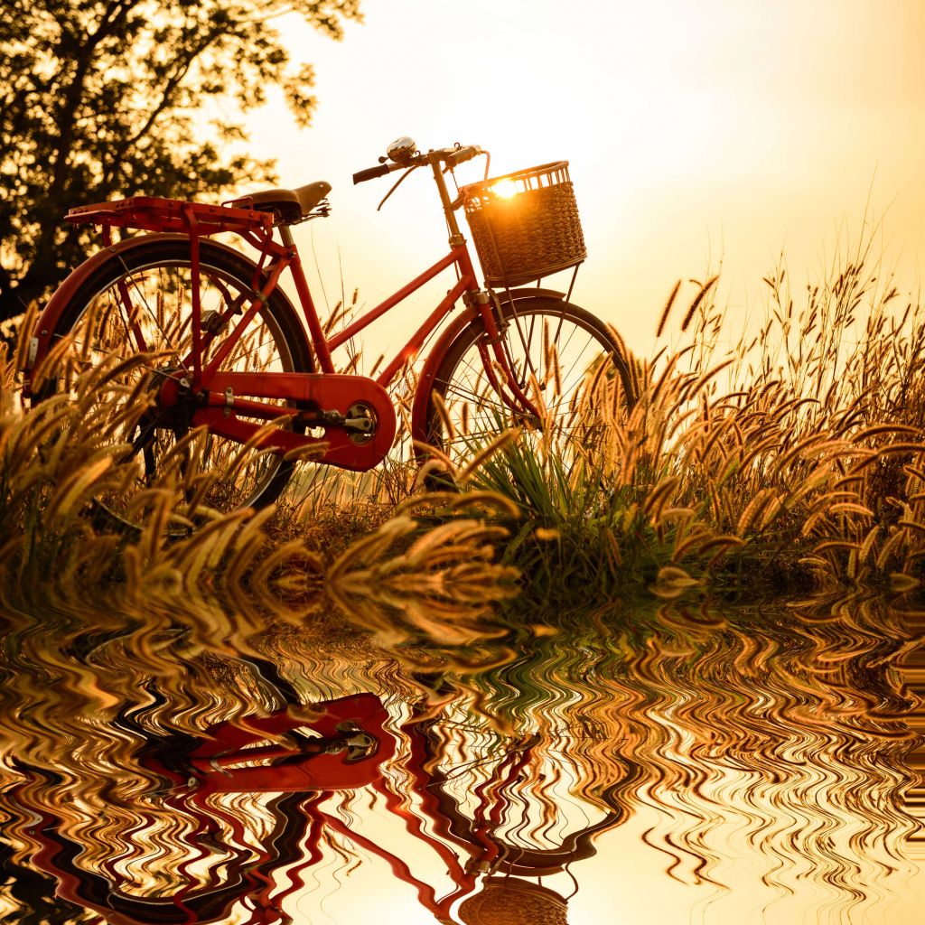 Fahrrad bei Sonnenuntergang