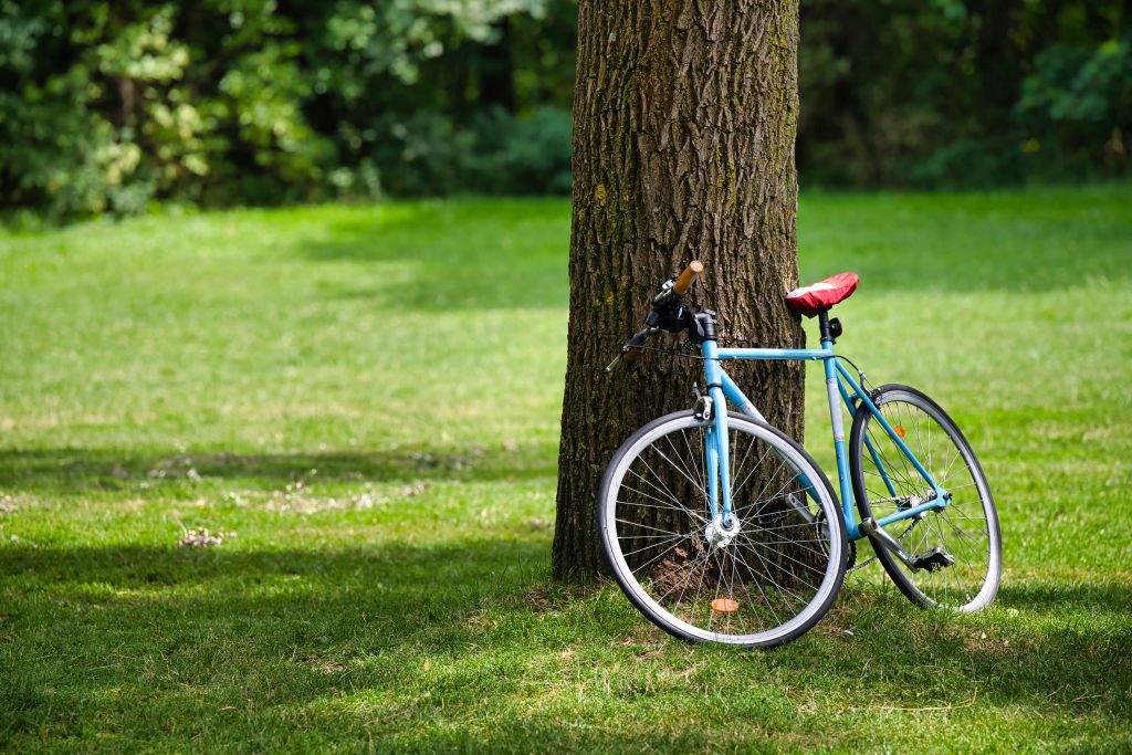 Fahrrad im Park
