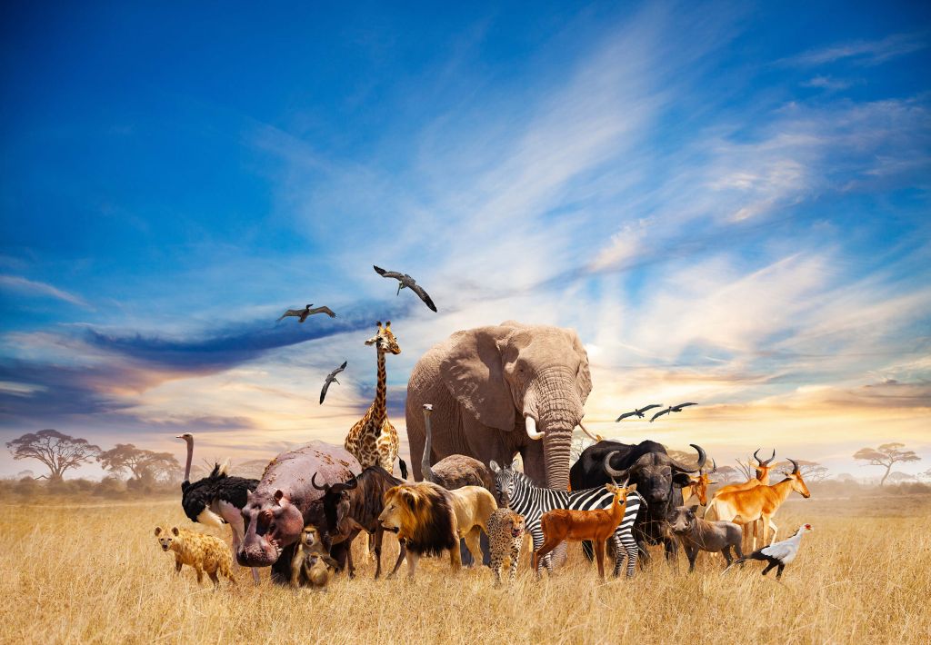 Gruppe von afrikanischen Tieren