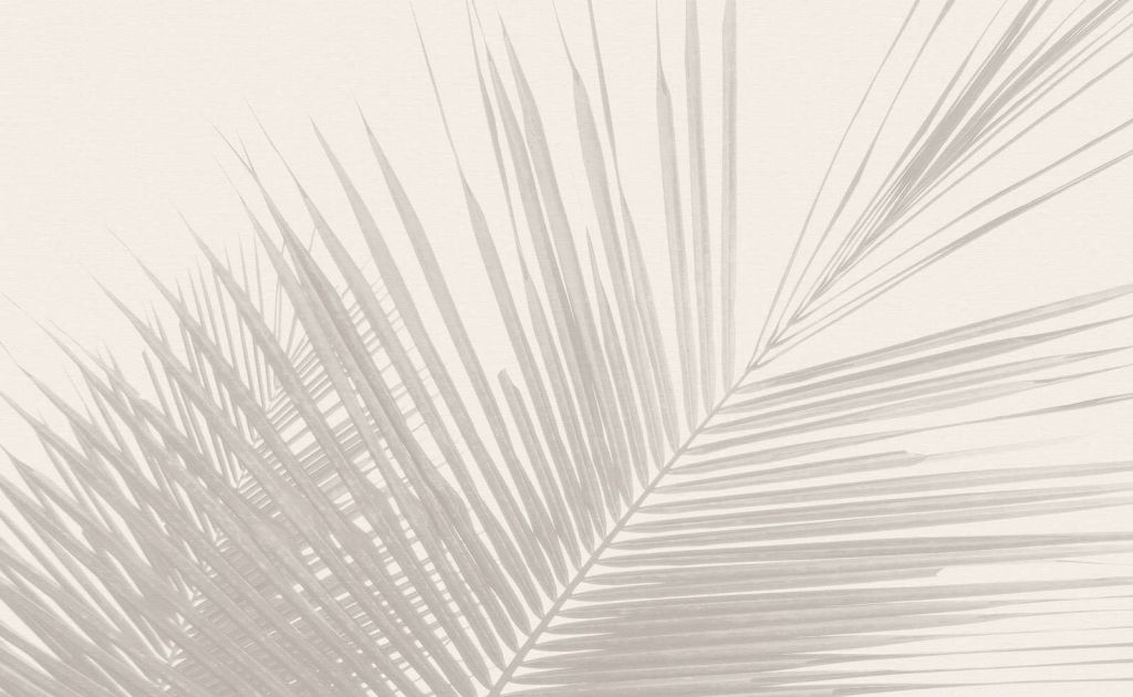 Palmenblätter schwarz-weiß