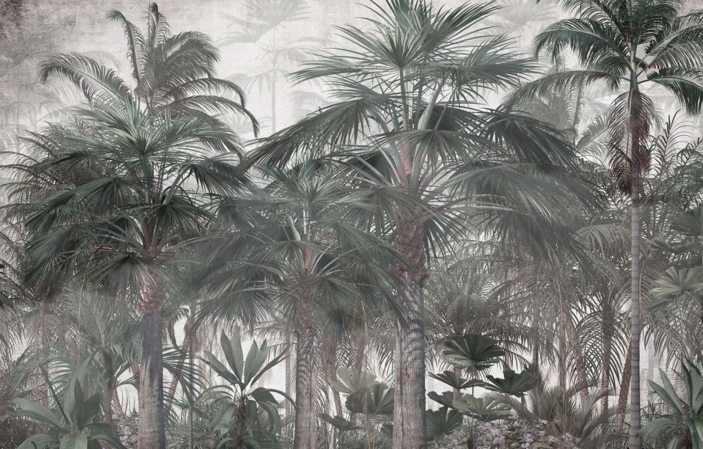 Dämmernde Palmenserenität