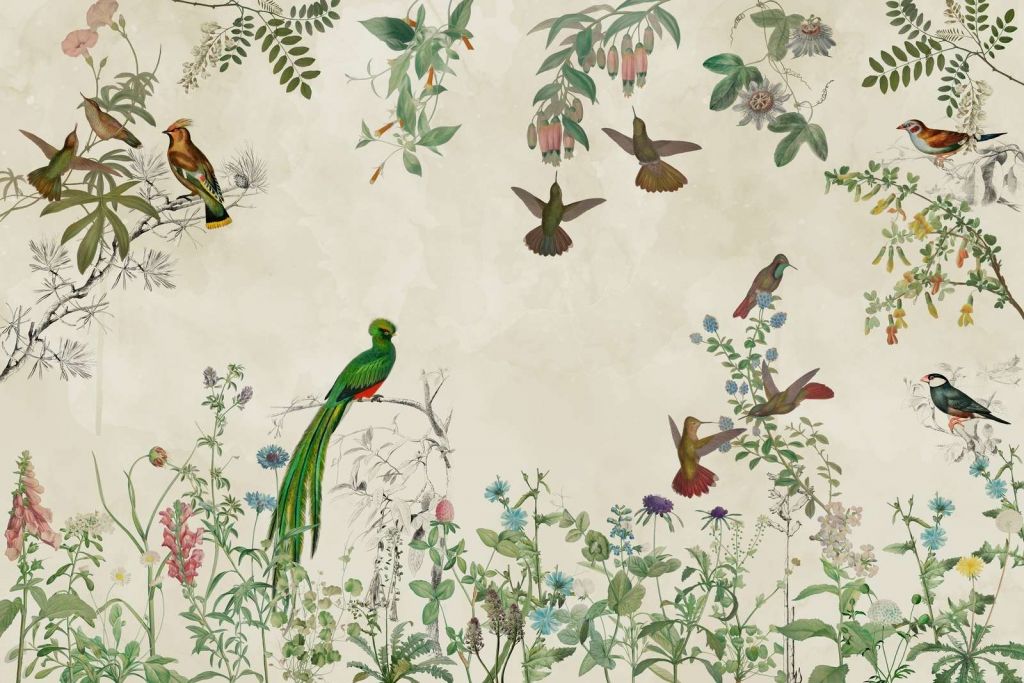 Felder bunter Vögel