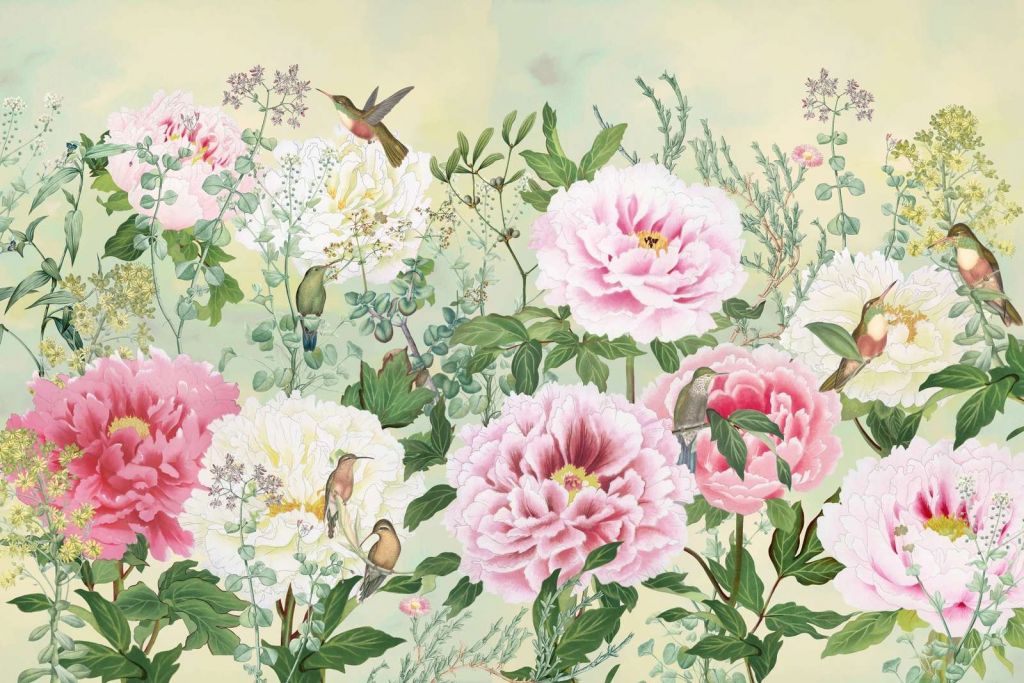 Pfingstrosenparadies