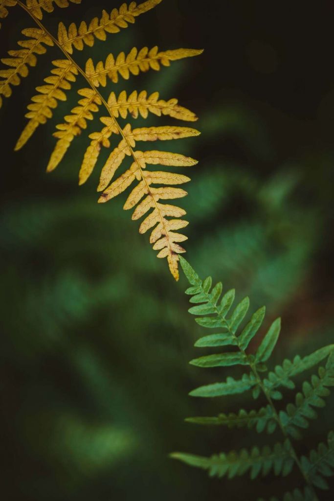 Treffen der Jahreszeiten