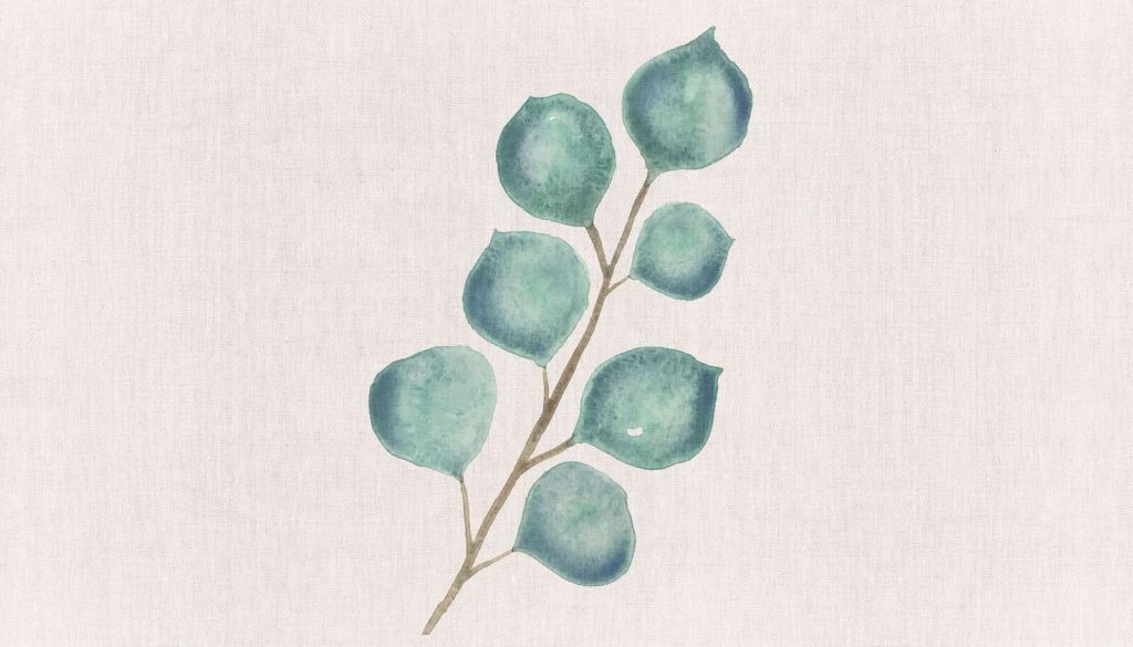 Eukalyptus in sanfter Aquarellfarbe