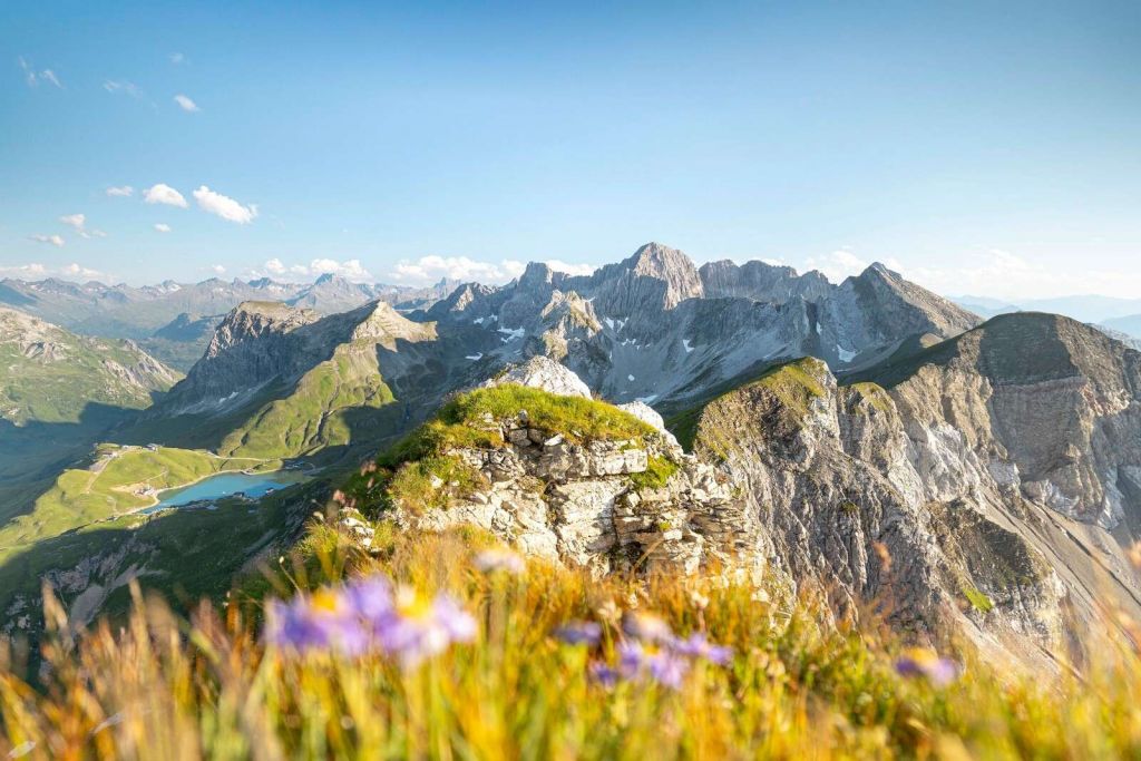 Sommerliche Alpengipfel mit Blumen