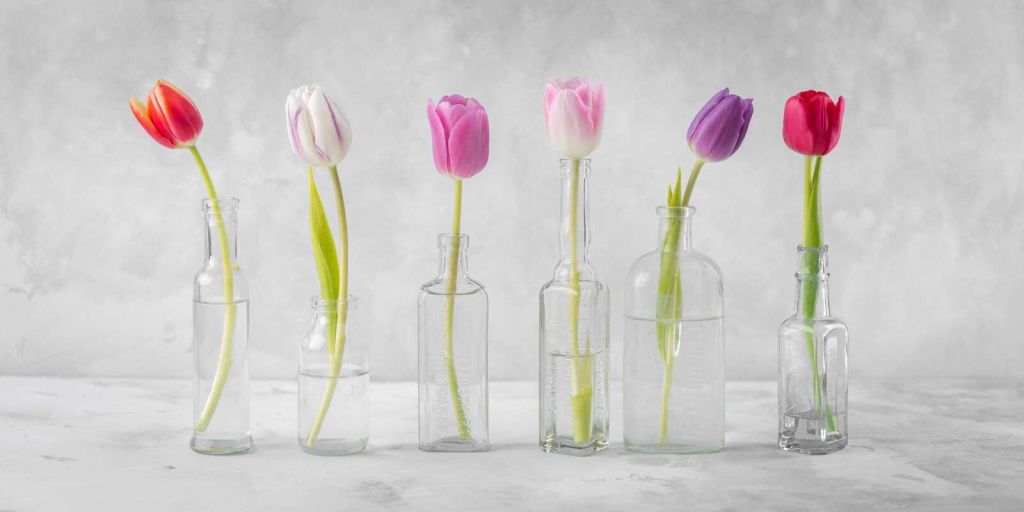 Tulpen in Glasflaschen
