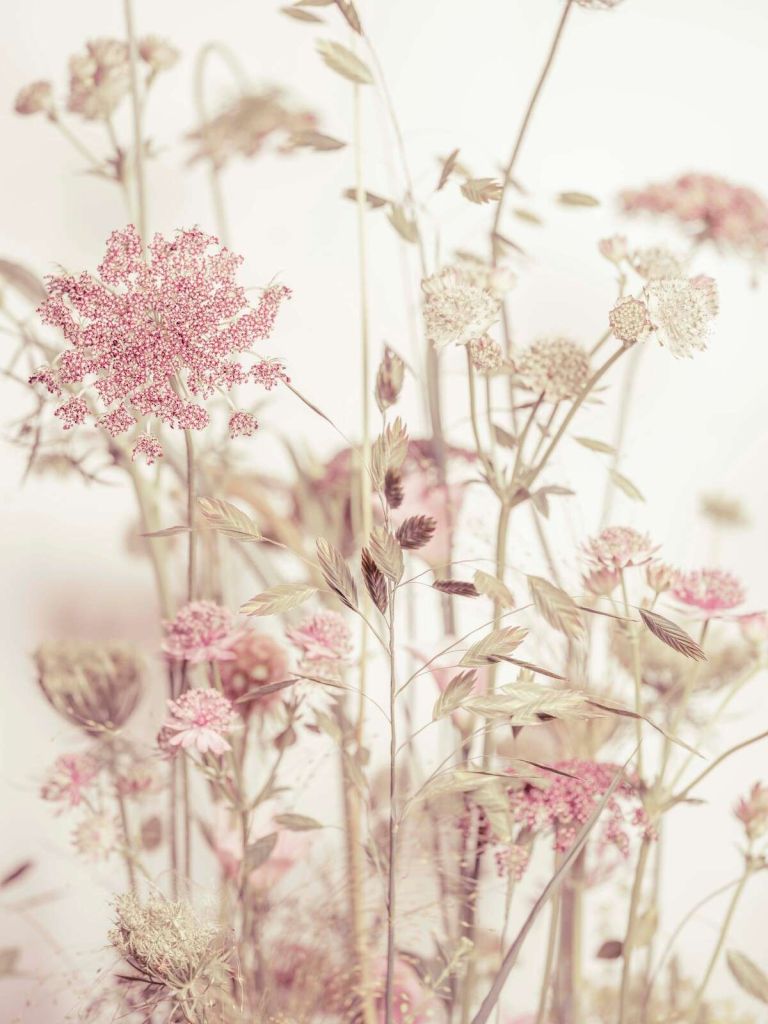 Wiesenblumen