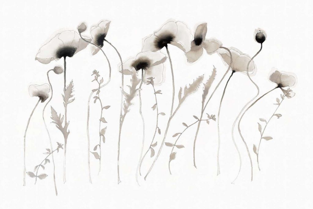 Mohnblumen in tintengrauer Stille