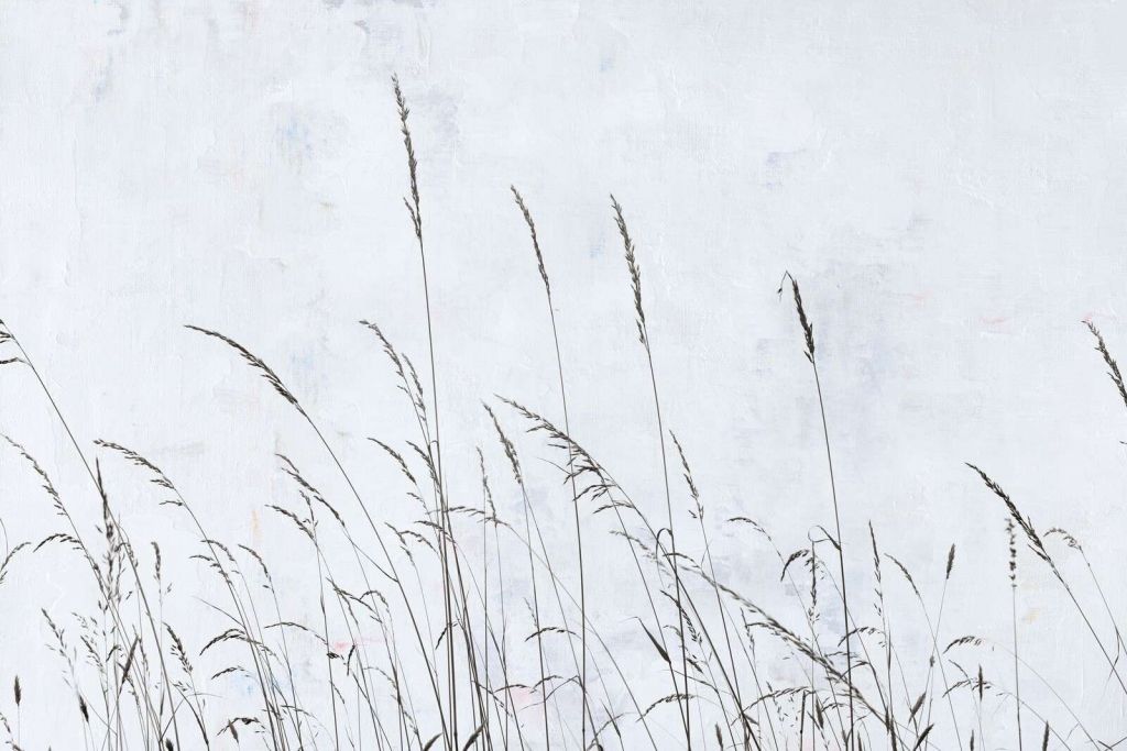 Sanft wehendes Feldgras im weißen Licht.