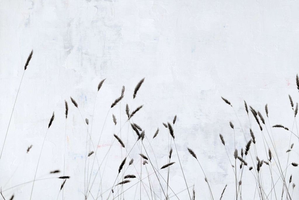 Minimalistisches Feldgras in Stille