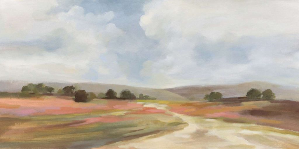 Sommerheide unter Wolkenhimmel