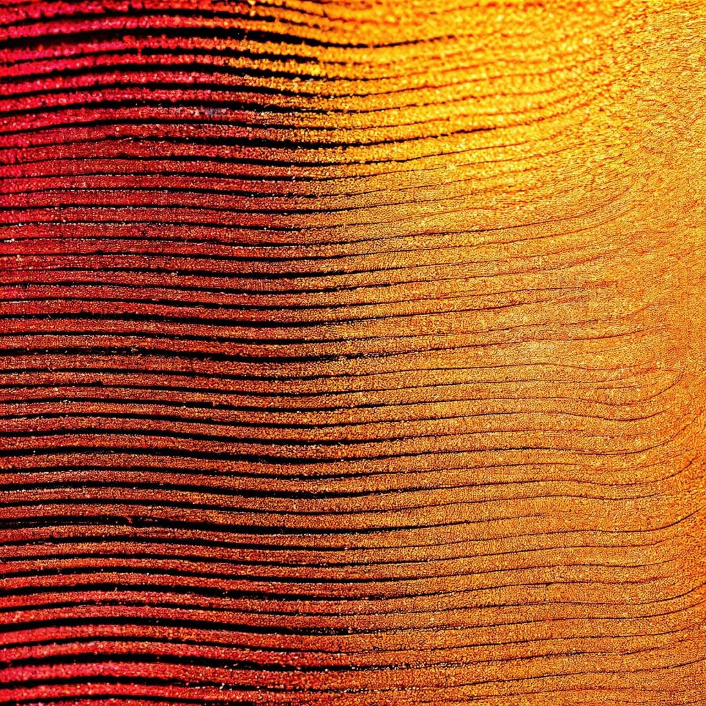 Makro Cobra Safranblume