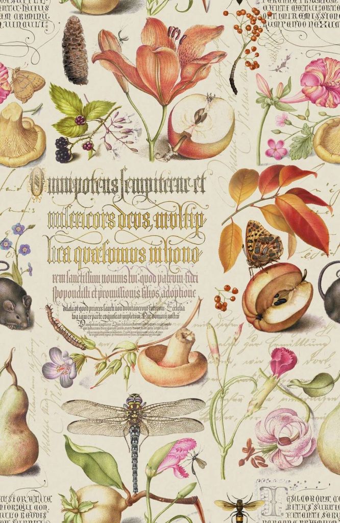 Botanical treasures by joris hoefnagel with plants fruits and calligraphy iii