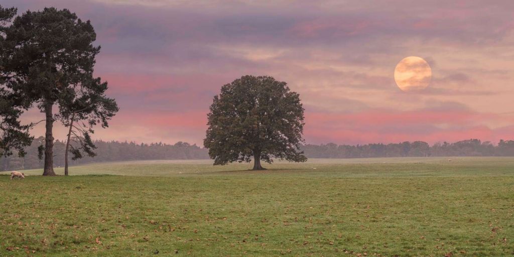 Mond über stiller Naturlandschaft