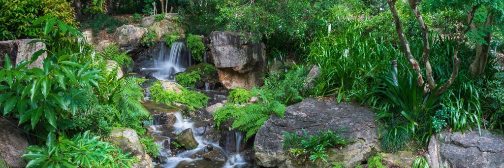 Wasserfall mit tropischen Pflanzen