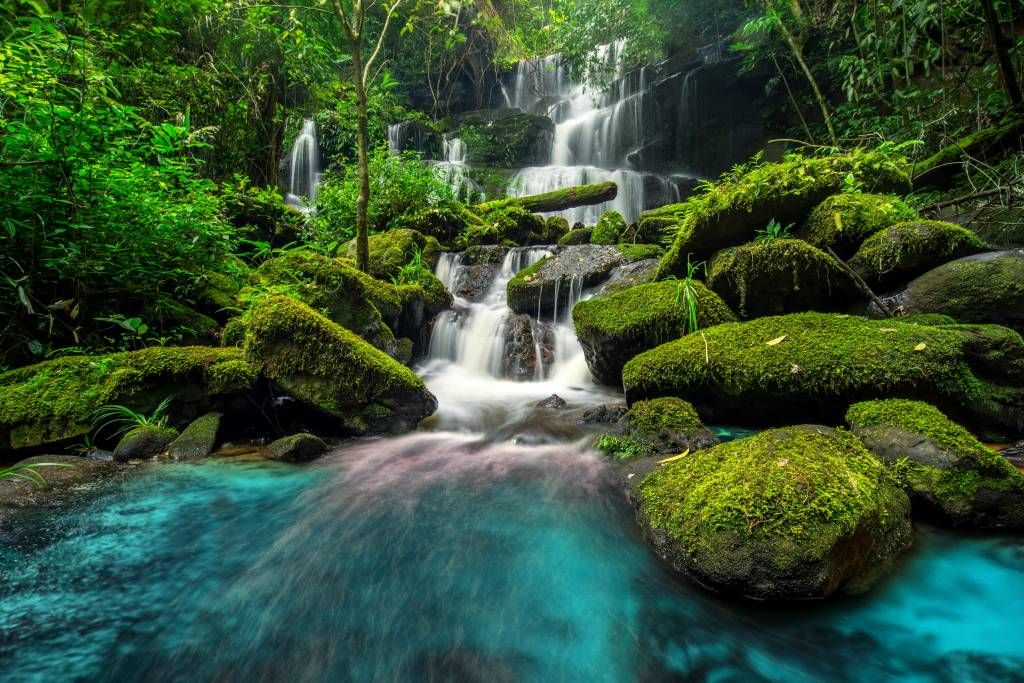 Wasserfälle - Wasserfall in einen Dschungel - Hobbyzimmer