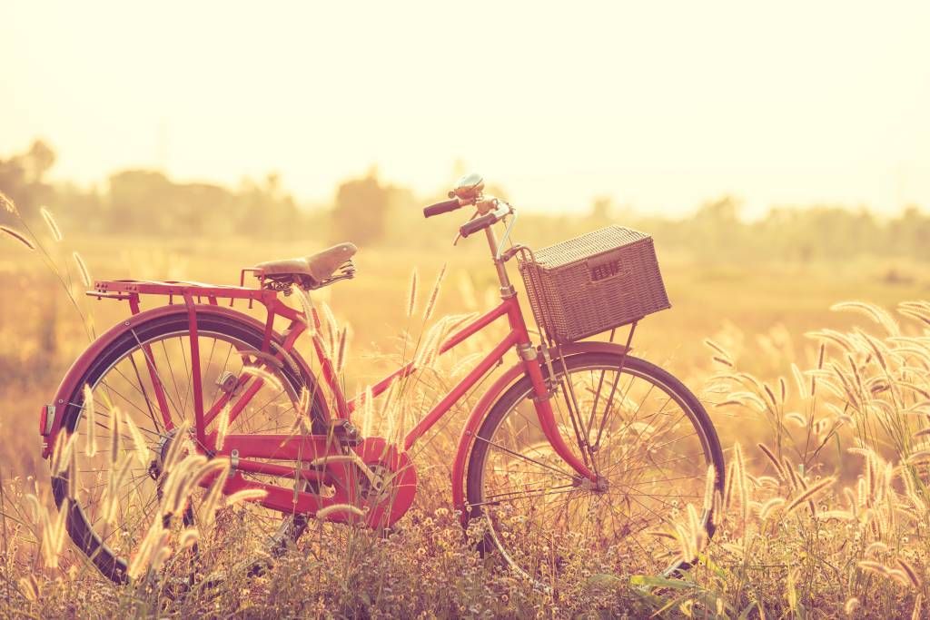 Landschafts Tapete  - Vintage Fahrrad - Schlafzimmer