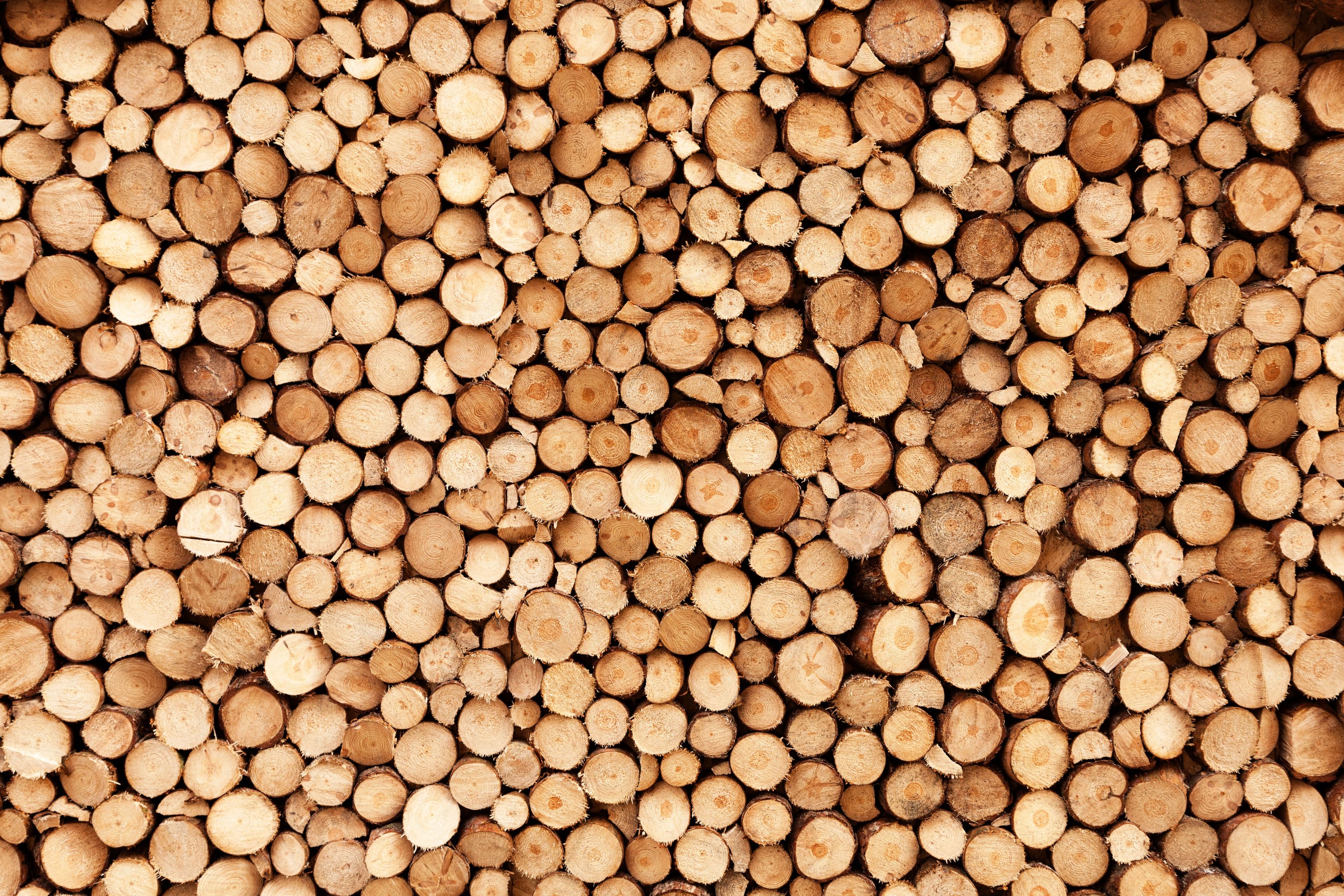 Holz Tapete  - Brennholz - Wohnzimmer