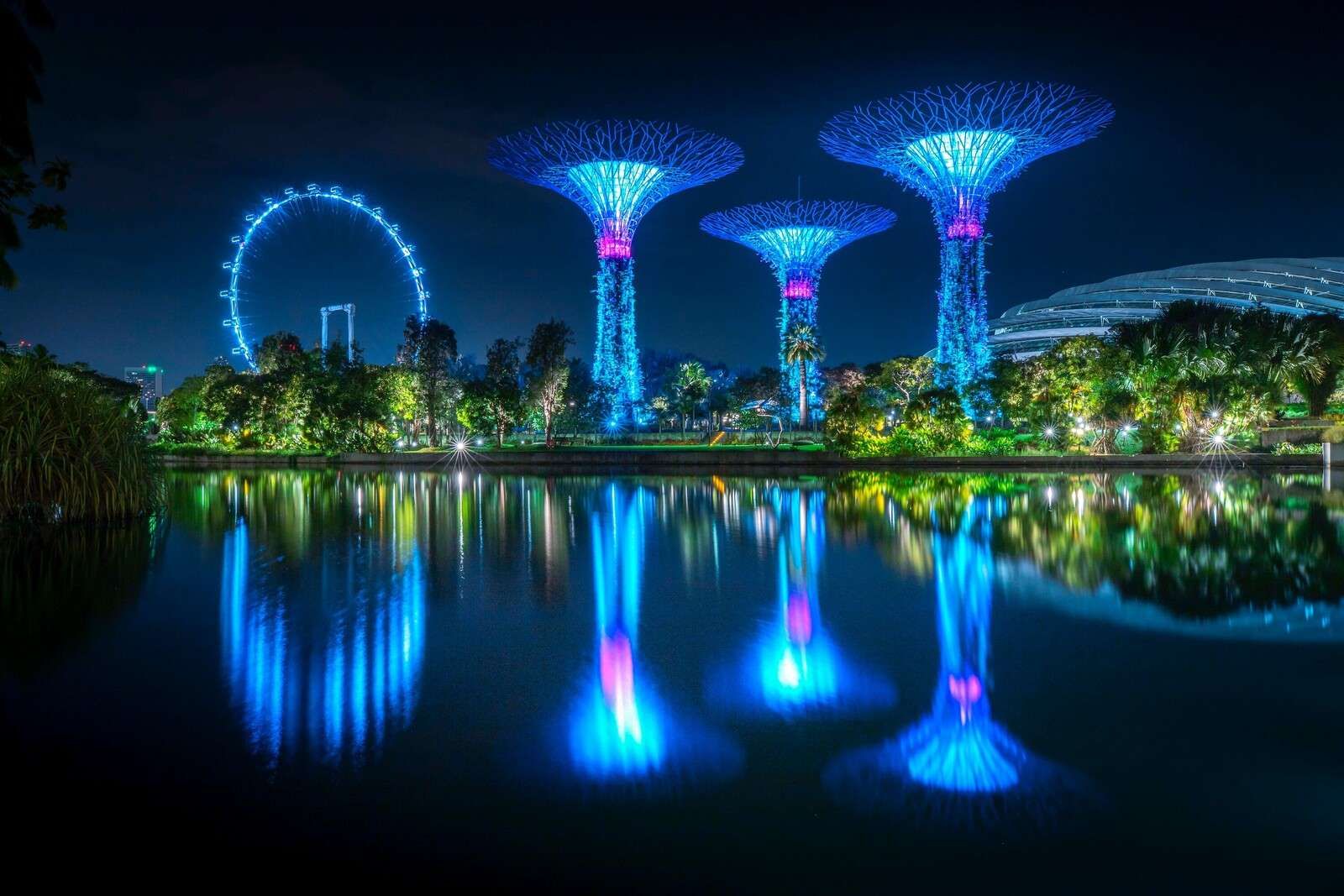 Fototapete - Futuristische Lichtbäume am Wasser - Fototapete, image size:1600x1067