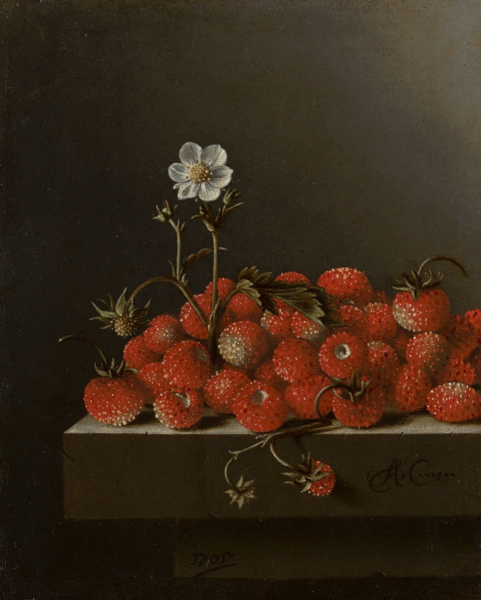 Stilleben mit Walderdbeeren