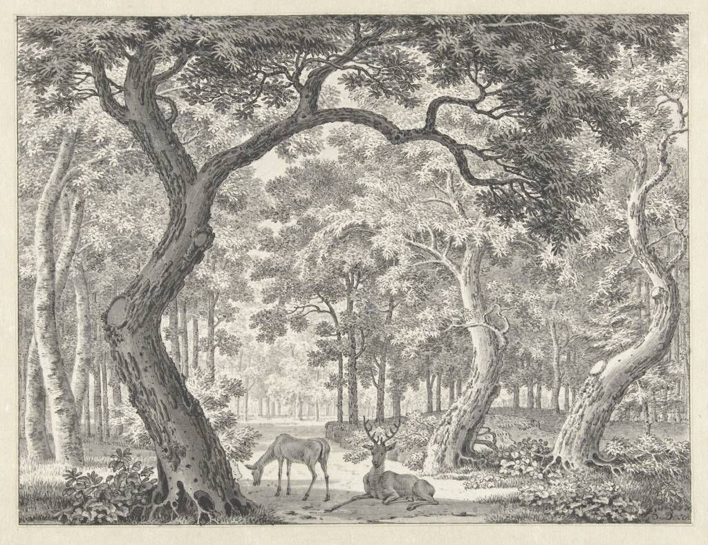 Wald Gesicht mit zwei Hirschen