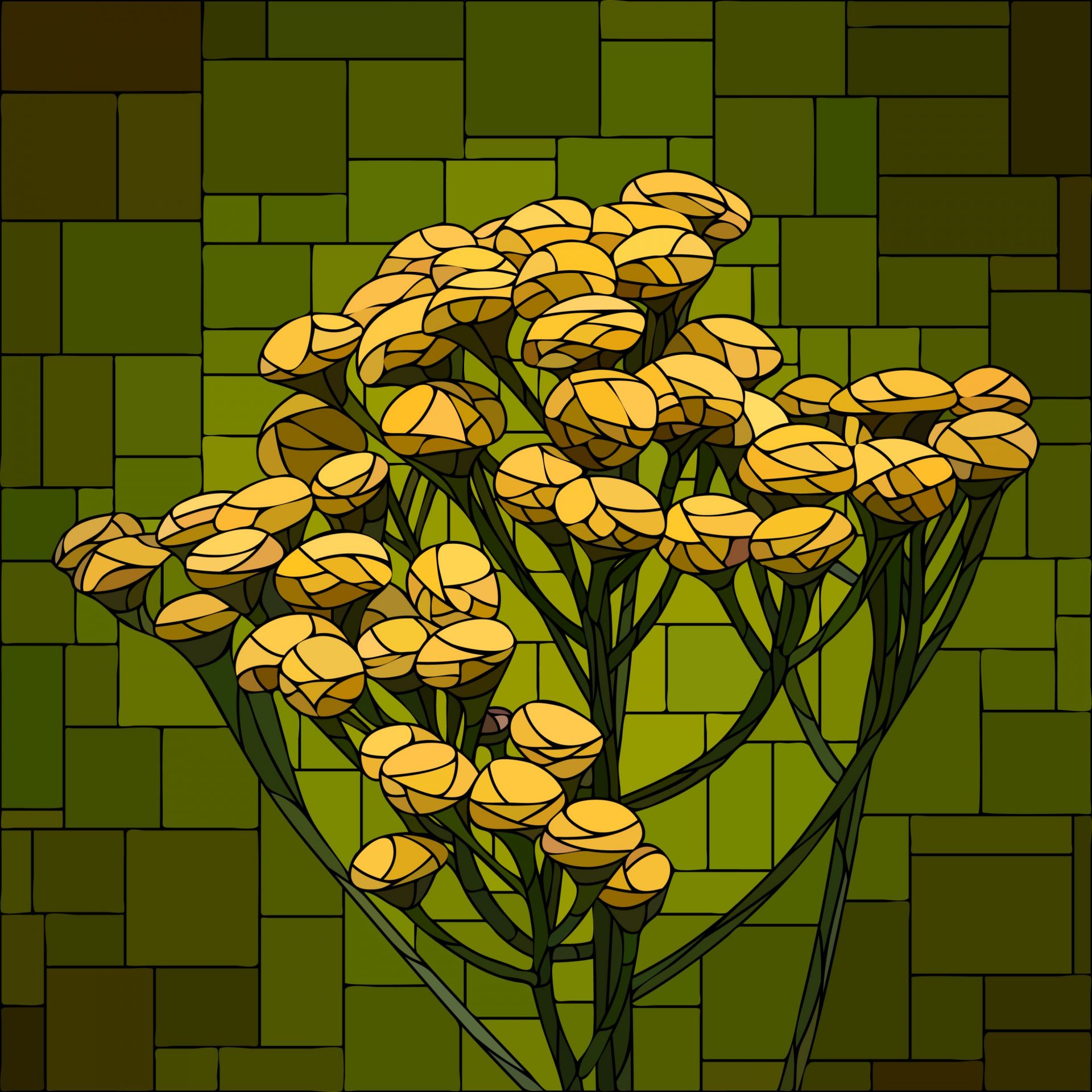 Blühende Blume