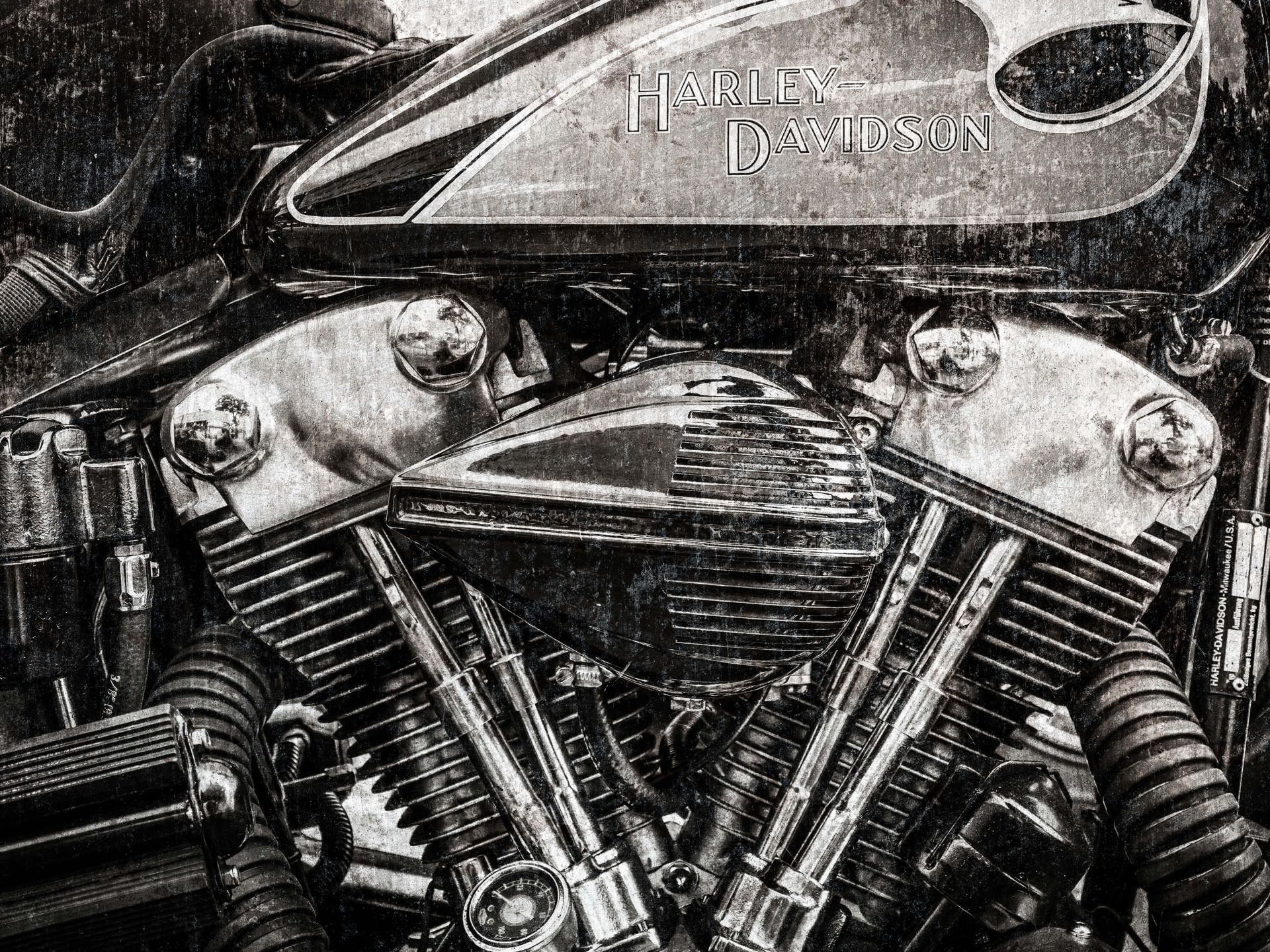 Harley davidson Nahaufnahme