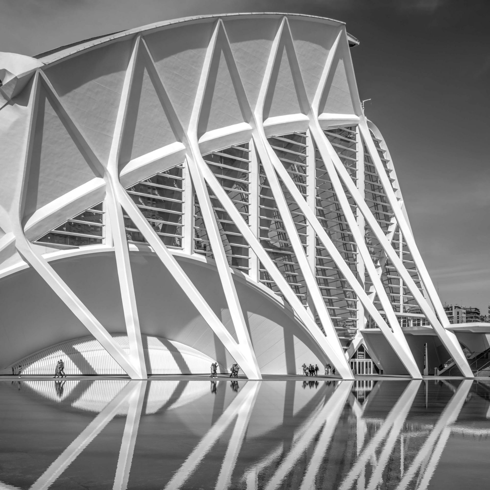 Wissenschaftsmuseum - Museo de las Ciencas Principe Felipe - Valencia