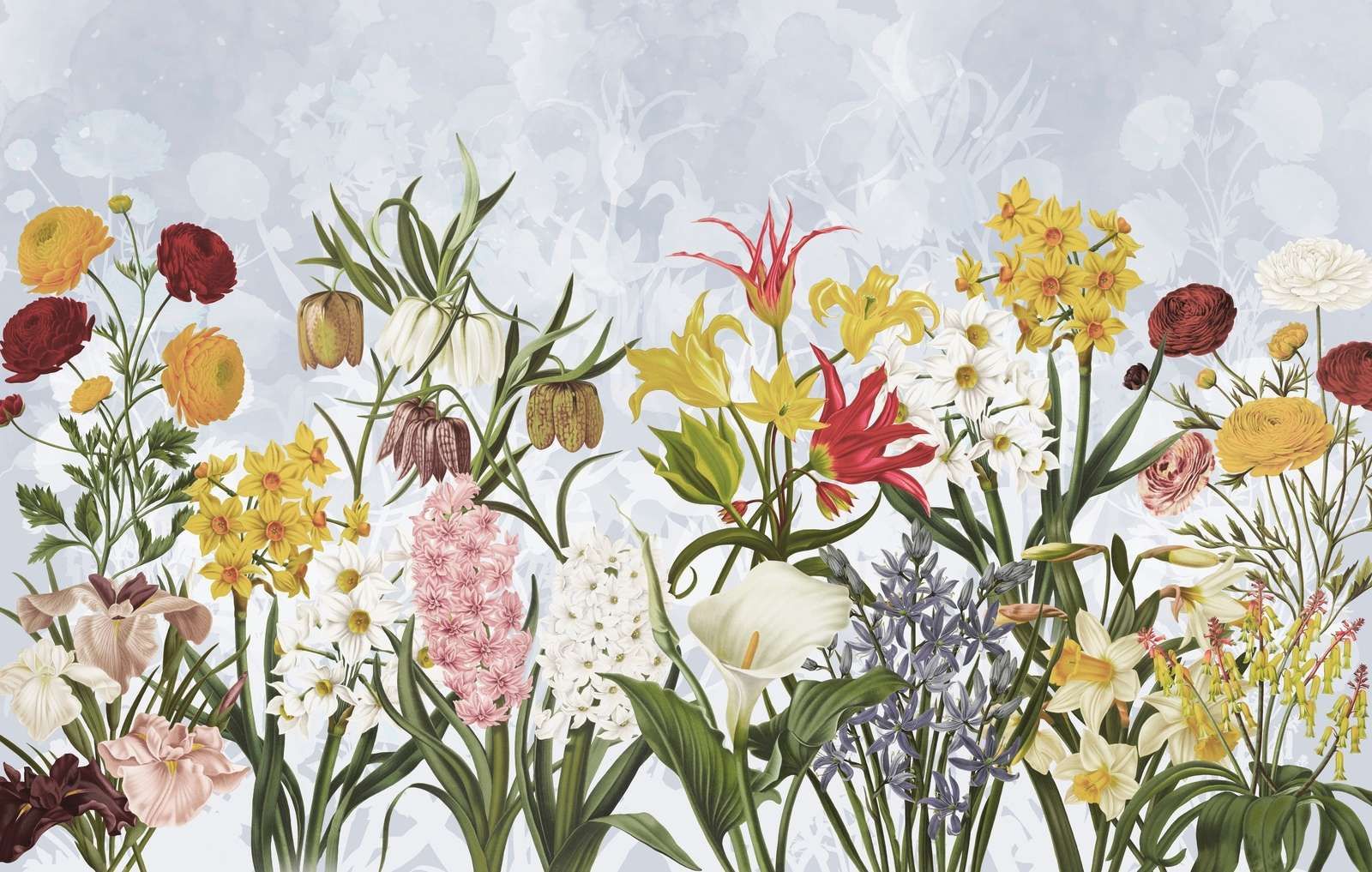 Frühjahrsblumen - Bewölkter Himmel Blau
