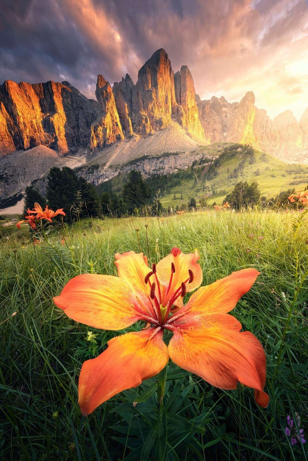 Vuriges Alpenlandschap mit Lilien
