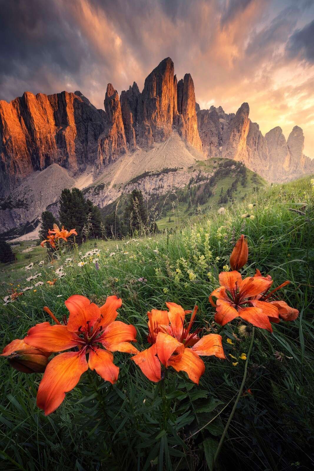 Sommerglanz in den Alpen