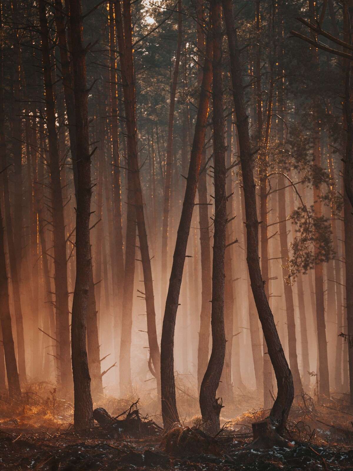 Übergang der Jahreszeiten