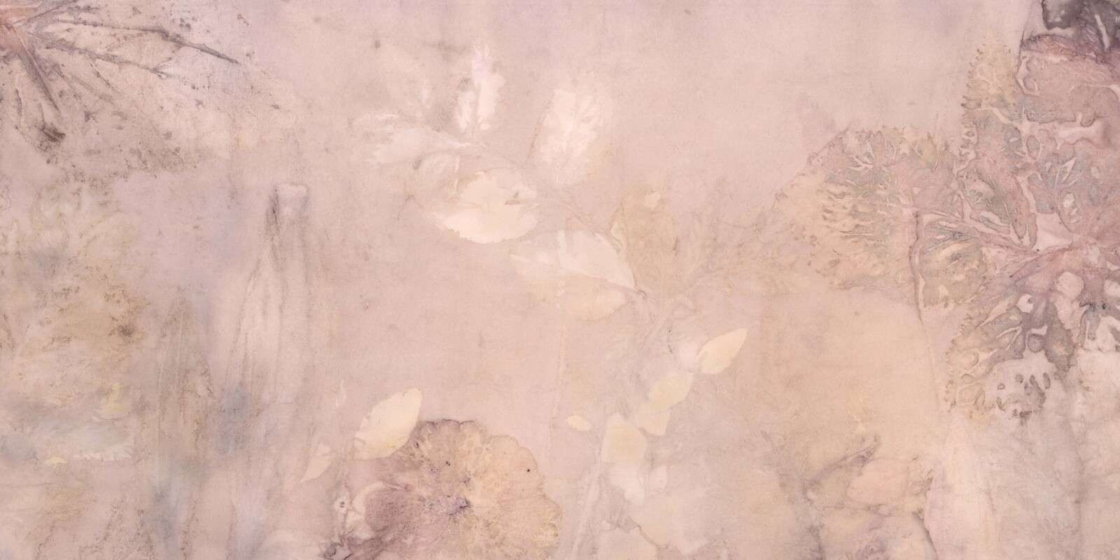 Weegbree und wilde Geranie - mauve