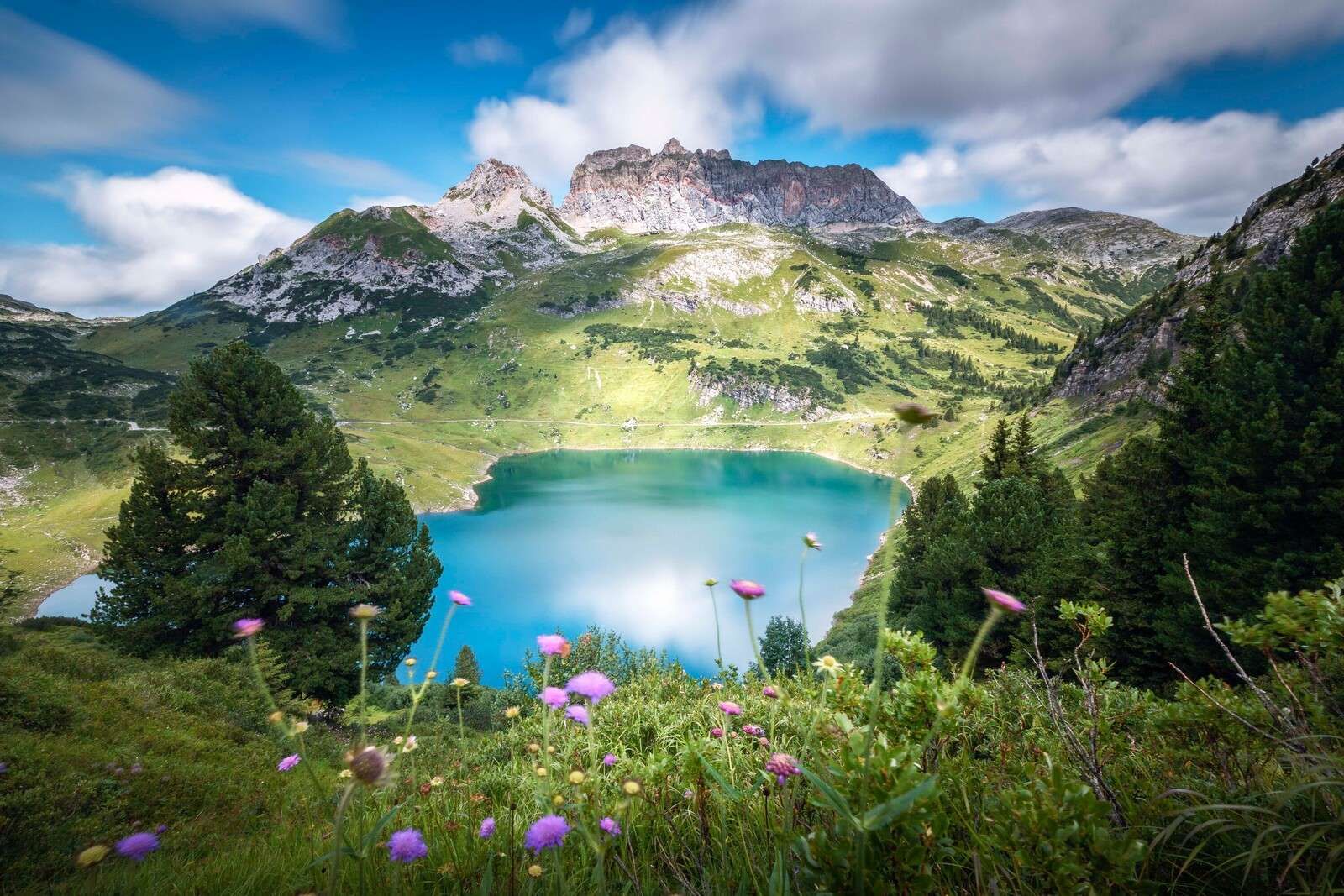 Bergsee mit wilden Alpenblumen