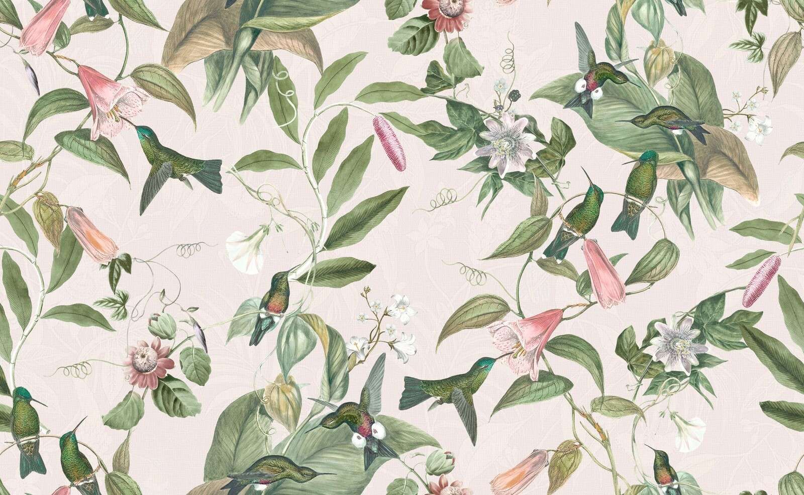 Kolibris zwischen rosa Blüten