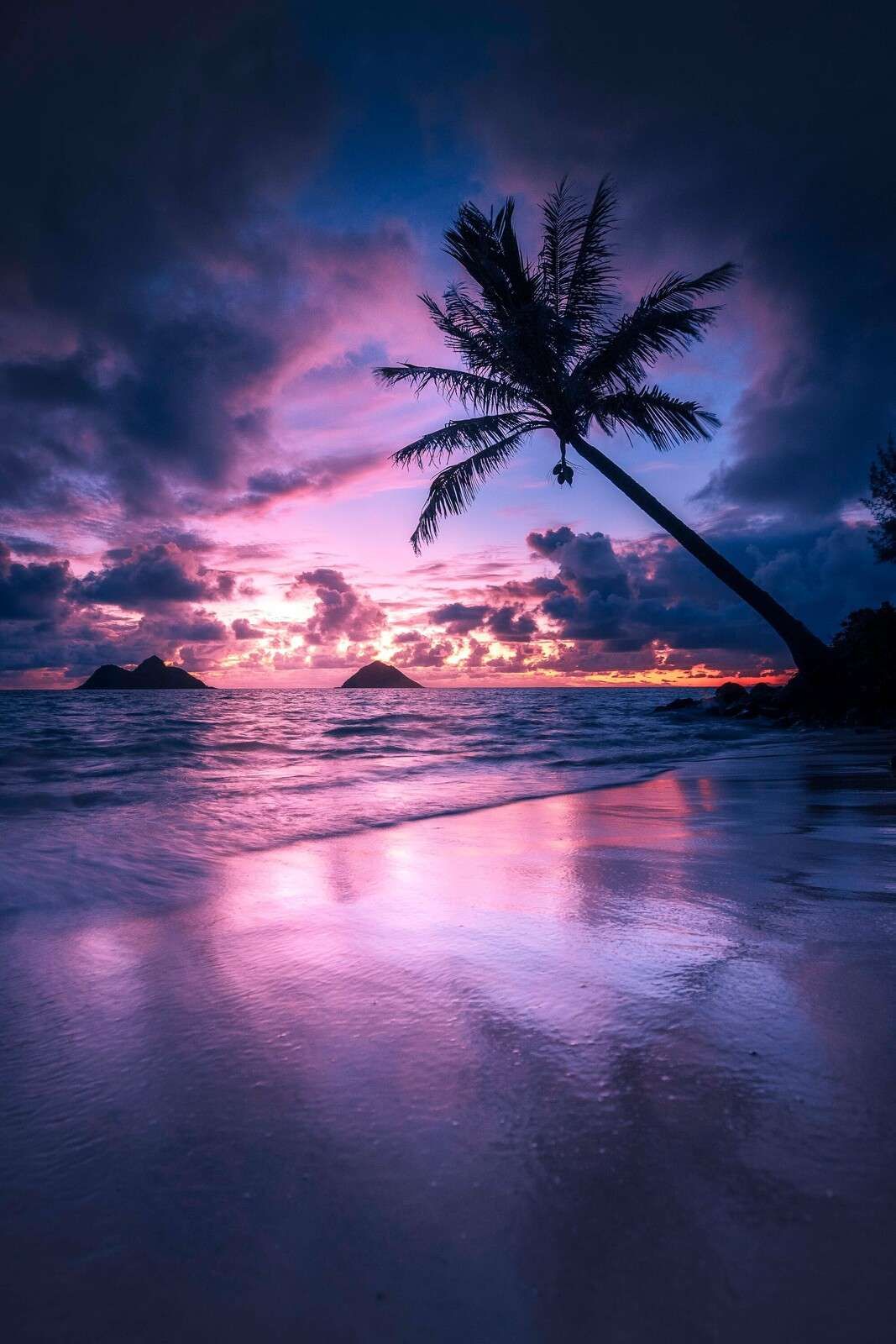 Palmstrand bei lila Sonnenuntergang.