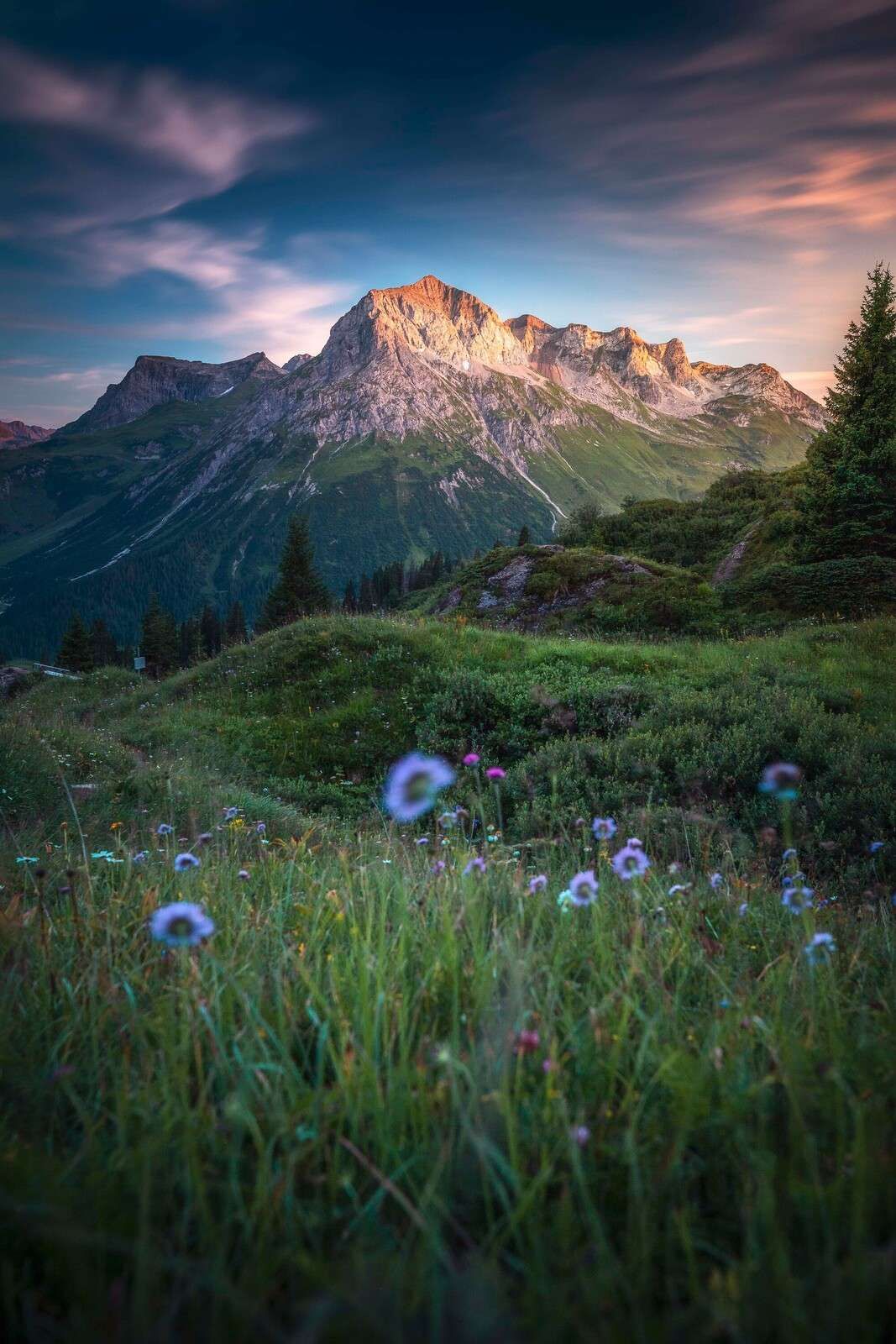Abendlicht über Blumental