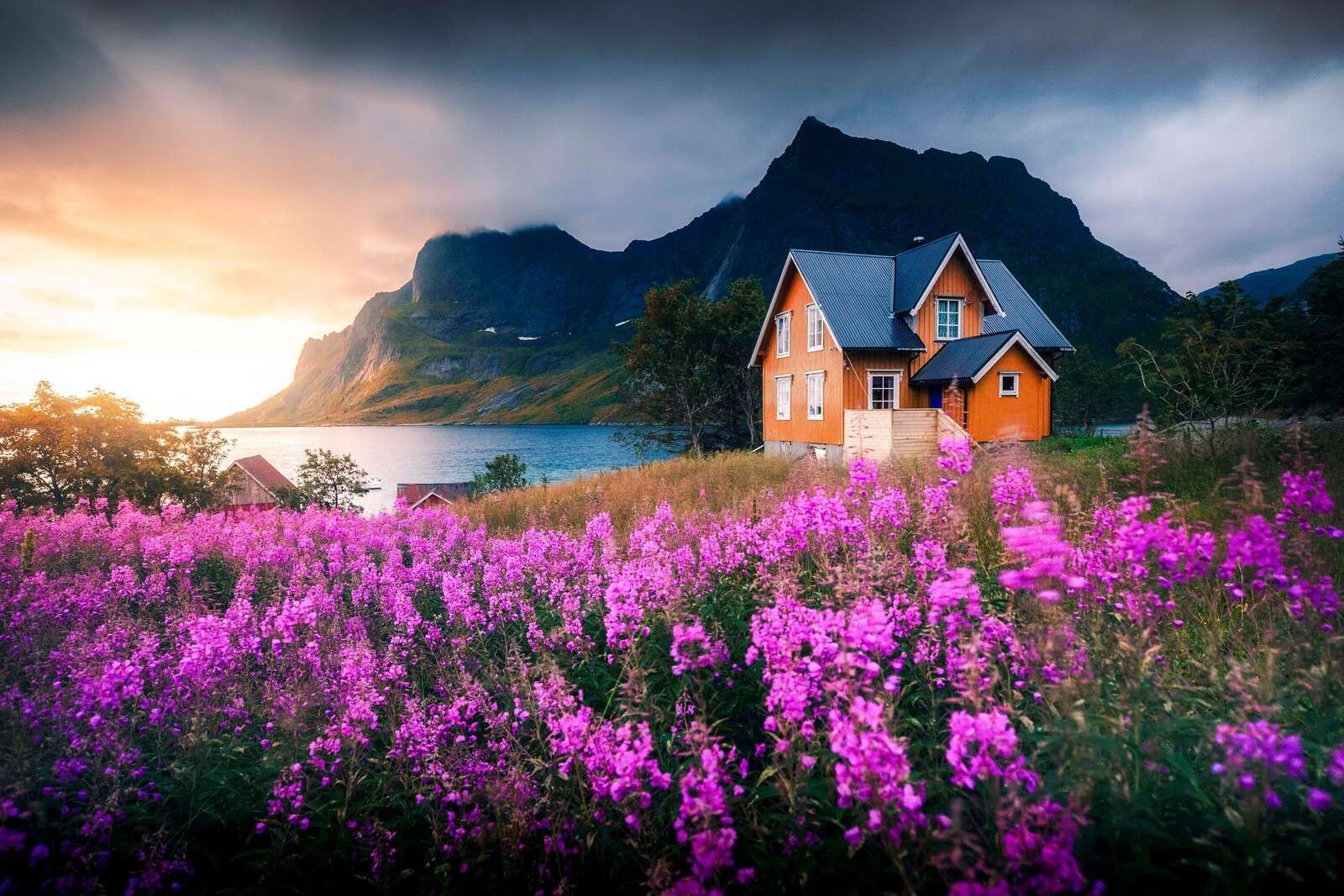 Oranges Haus am violetten Fjord.