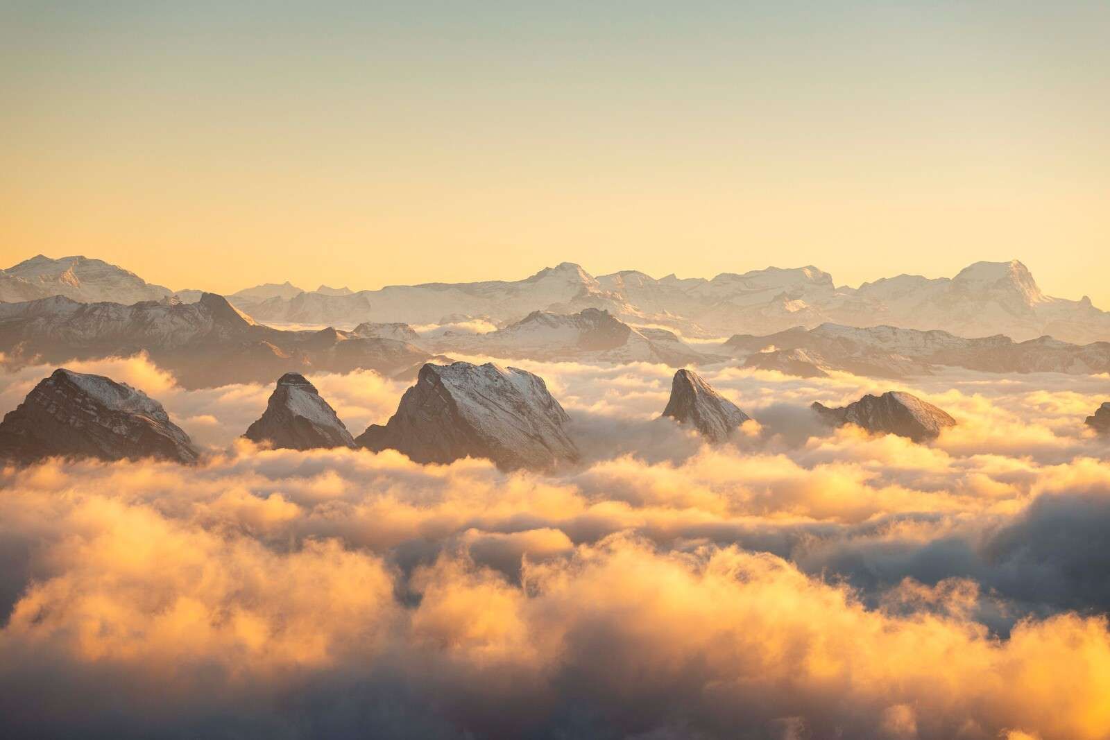 Berggipfel über goldenem Wolkenmeer.