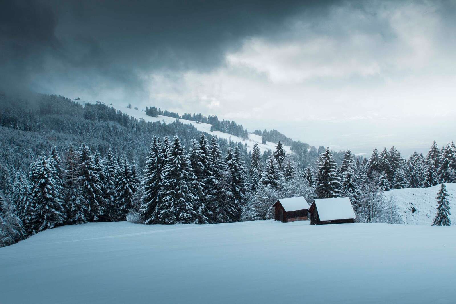 Verschneiter Kiefernwald mit Holzhütten