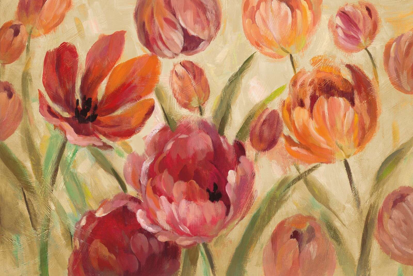 Blühendes Feld der Tulpenpracht