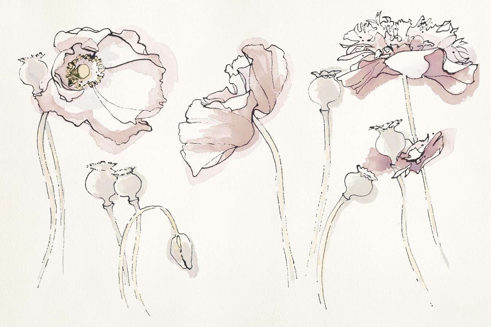 Sanftrosa Mohnblumenlinienspiel