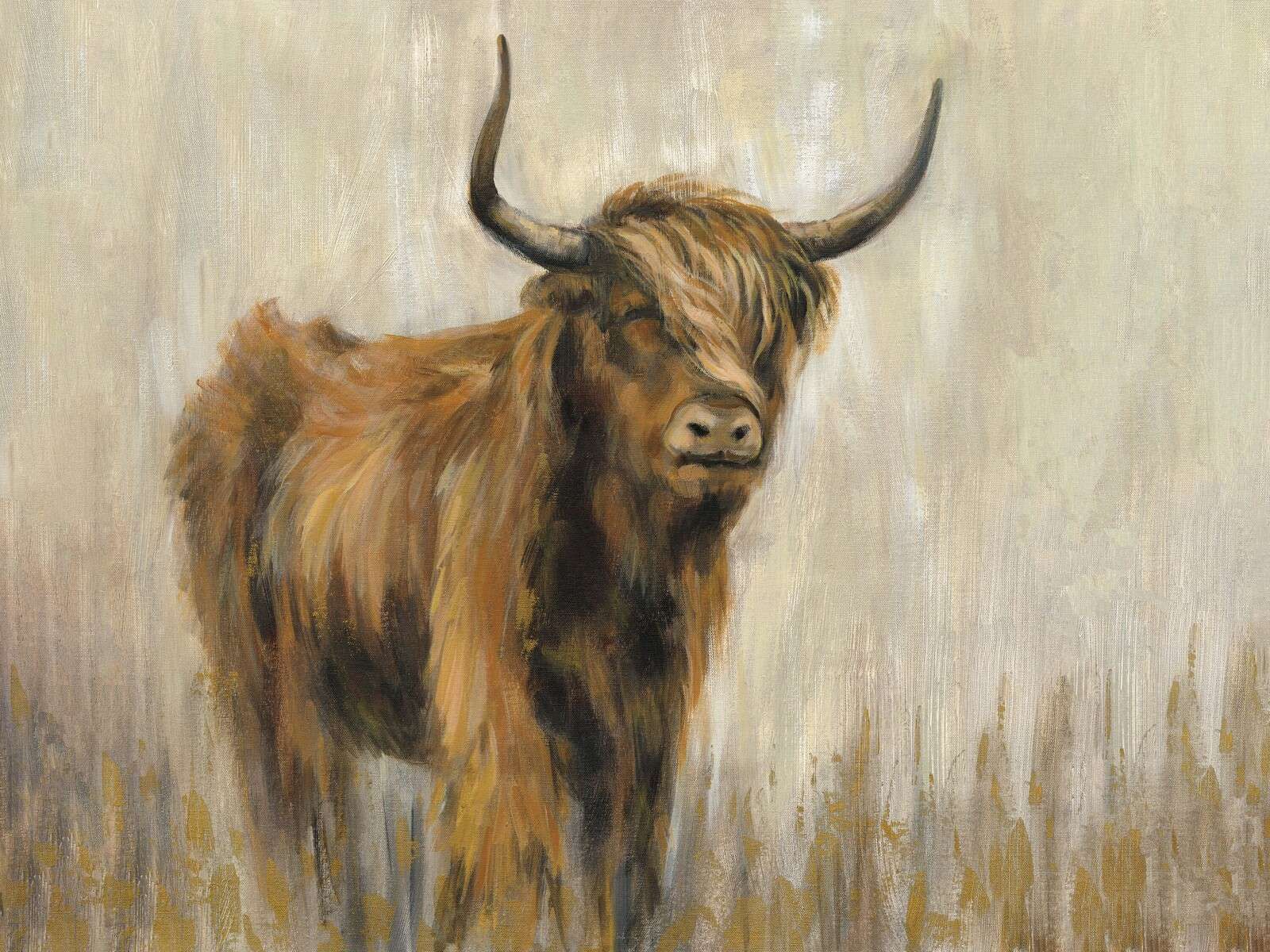 Highlander in nebliger Wiese